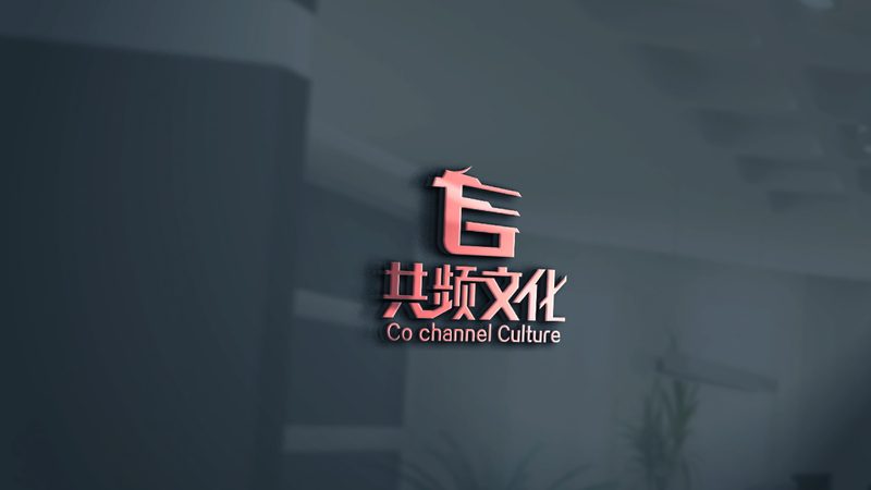 纪录片拍摄服务合同模板：关键要素与注意事项**