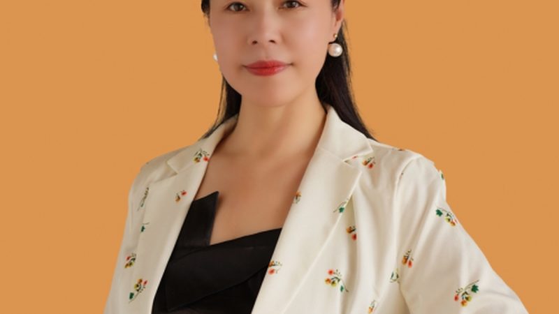 行业现状：品牌策划执行的多元化选择