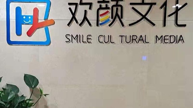 会议策划执行手册模板：打造高效会议的关键要素