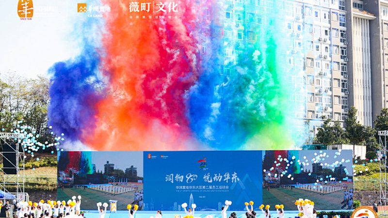 自然类纪录片拍摄技巧揭秘：从入门到精通